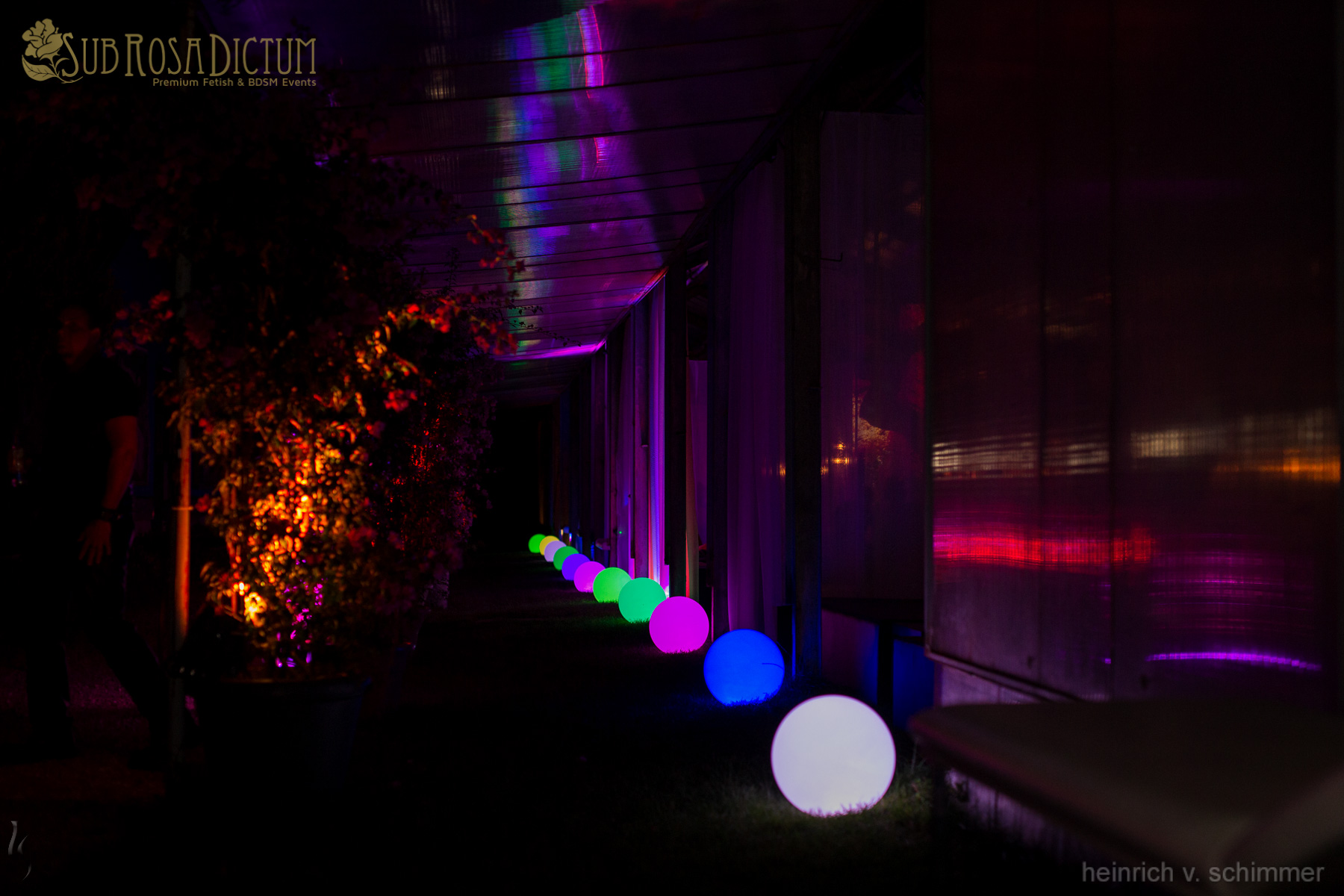 SRD Der Geheime Garten 2016 by Heinrich v. Schimmer